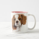 Recherche de cavaliers tasses Épagneul