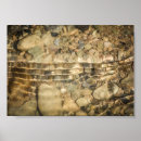 Recherche de galetteuse posters Photographie de la nature