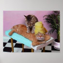 Suche nach funny cat poster Lustige katzen