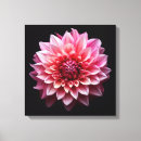 Suche nach abgeschieden leinwandbilder Blume
