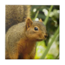 Recherche de nature carreaux Faune
