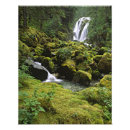 Suche nach grüner frieden poster Wald