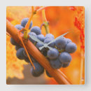 Suche nach weinberg wanduhren Weinrebe