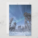 Suche nach winterschnee einladungen Waldbäume