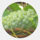 Recherche de raisins verts autocollants Vin