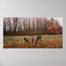 Suche nach tierwelt poster Bäume
