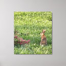 Suche nach gras kunst Hase