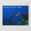Suche nach große fische postkarten Meer