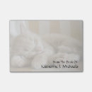 Suche nach hauskatze poster Whisker