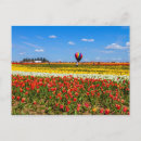 Suche nach gelbe tulpen postkarten Landschaft