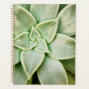 Recherche de plantes bureau fournitures Fleur