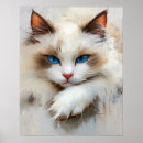 Suche nach ragdoll katze poster Langhaarkatze