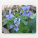 Suche nach veilchen mousepads Blumen