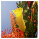 Suche nach mini fliesen Blume