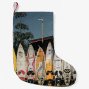 Recherche de palmier chaussette de noël Nature