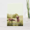 Suche nach milchkühe karten Bauernhof