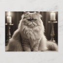 Suche nach persian postkarten Persikatze