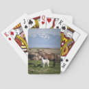 Recherche de amoureux jeux de cartes Pour tous