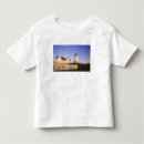 Suche nach leuchtfeuer tshirts Massachusetts