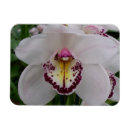 Recherche de orchidées magnets Élégant