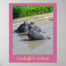 Suche nach grüner vogel poster Grau