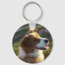 Recherche de plomb porteclés Chien