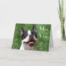 Suche nach terrier karten Liebe