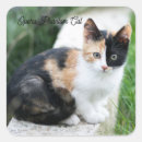 Suche nach phantom aufkleber Katze