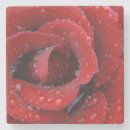 Suche nach grab untersetzer Rose
