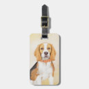 Suche nach beagle gepäckanhänger Welpe