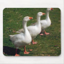 Suche nach gänse mousepads Bauernhof