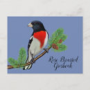 Recherche de oiseau rouge cartes postales Faune