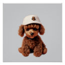 Recherche de caniche posters Chiot