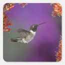 Recherche de mcdonald autocollants Joe