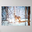 Suche nach weißer hirsch poster Reh