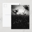 Recherche de rêveuse cartes postales Céleste