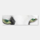 Suche nach katzenaugen Einzigartig