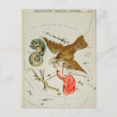 Suche nach aquila poster Delphinus