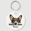 Recherche de chiot corgi porteclés Mignon