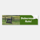 Suche nach pinscher autoaufkleber Welpen