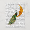 Recherche de paons cartes postales Animaux