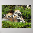 Recherche de jouer art Nature