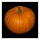 Recherche de en citrouille posters Pour tous