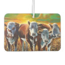 Recherche de vaches voiture accessoires Cowgirl