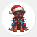 Recherche de vacances de chiot autocollants Joyeux noël