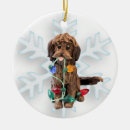Suche nach labradoodles ornamente Dogs
