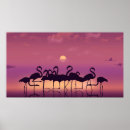 Suche nach florida vogel poster Ozean