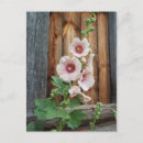 Suche nach alte blumen postkarten Ländlich