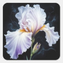 Suche nach lila iris aufkleber Lavendel