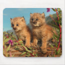 Suche nach alaska mousepads Wildtiere